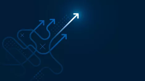 New councillor, fellows at InternetNZ