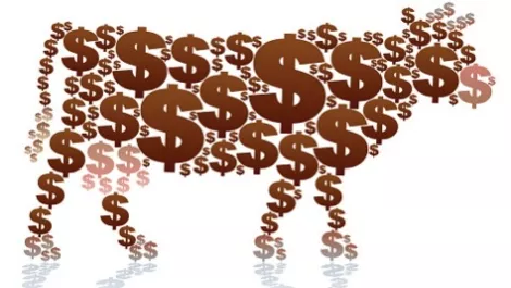 NZ dollar jumps more than 1 US cent after RBNZ said rates could go 'up or down'