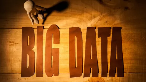 Big data wood