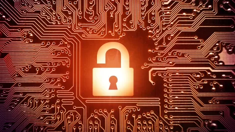 AU businesses training staff on cybersecurity, but more needs to be done – survey