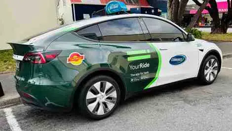 Charandeep tesla wgtn 1  3 